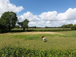 Vakantiehuisje Welt Omgeving 33