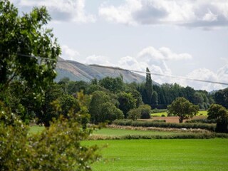 Vakantiehuisje Welt Omgeving 19