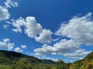 Chalet Hove Omgeving 16