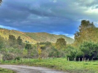 Chalet Hove Omgeving 10