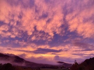 Chalet Hove Omgeving 24