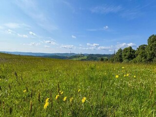 Chalet Hove Environnement 12