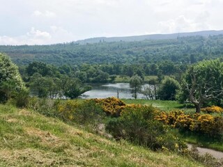 Chalet Hove Environnement 13