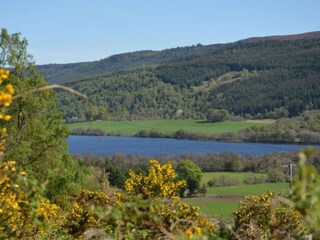 Chalet Hove Environnement 14