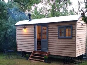 Chalet Hirtenhütte in Sussex mit Feuerstelle & Natur - Hove - image1
