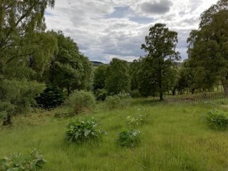 Chalet Hove Umgebung 10