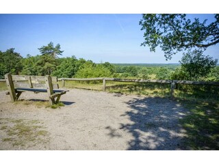 Vakantiepark Markelo Omgeving 19