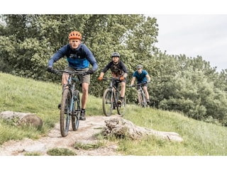 Ferienpark Markelo Umgebung 19