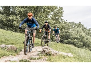 Vakantiepark Markelo Omgeving 20