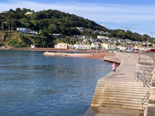 Appartement Shaldon Environnement 37