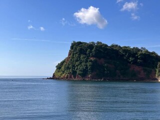Appartement Shaldon Environnement 25
