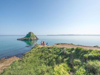 Appartement Shaldon Environnement 31