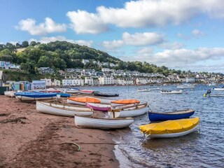 Appartement Shaldon Environnement 38