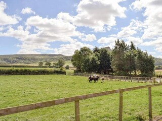 Apartamento Saltburn by the sea Entorno 25