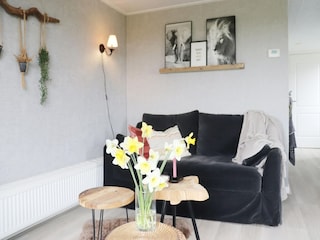 Casa per le vacanze Idskenhuizen Caratteristiche 13