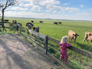 Vakantiehuis Idskenhuizen Buitenaudio-opname 4
