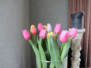 Maison de vacances Idskenhuizen  36