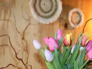 Maison de vacances Idskenhuizen  36