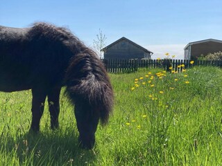 Casa per le vacanze Idskenhuizen Registrazione all'aperto 3