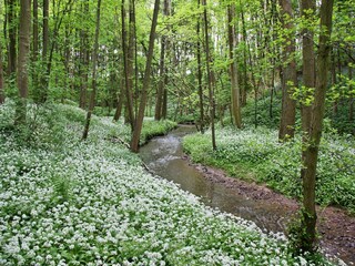 Casa vacanze Saltburn by the sea Ambiente 15