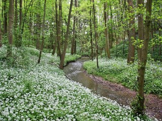Casa vacanze Saltburn by the sea Ambiente 20