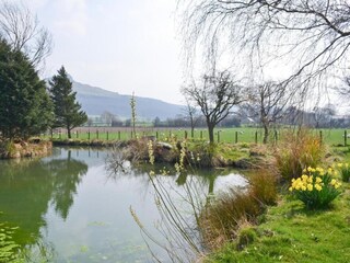 Vakantiehuisje Saltburn by the sea Omgeving 27