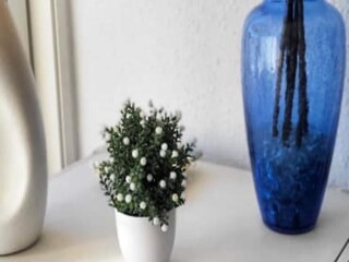 Appartement Le Grau-du-Roi  11