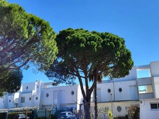 Appartement Le Grau-du-Roi  25