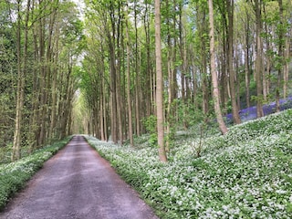Casa de vacaciones Saltburn by the sea  27