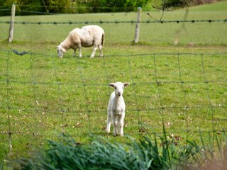 Maison de vacances Welt Enregistrement extérieur 8