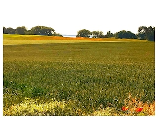 Blick Richtung Neverower Haff