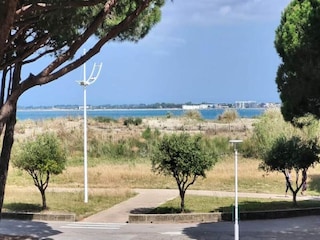 Apartment Le Grau-du-Roi  36