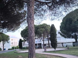 Apartment Le Grau-du-Roi  34