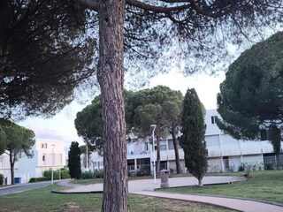 Appartement Le Grau-du-Roi  34