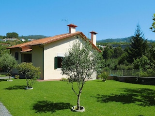 Ferienhaus Vale de Cambra Außenaufnahme 4