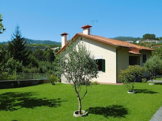 Ferienhaus Vale de Cambra Außenaufnahme 5