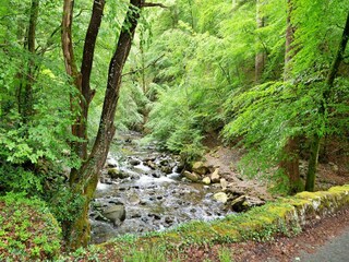 Vakantiehuisje Dolgellau Buitenaudio-opname 4