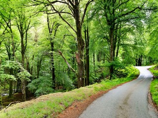 Vakantiehuisje Dolgellau Buitenaudio-opname 13