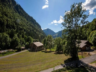 Apartment Montriond  23