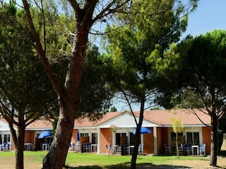 Apartment Sallèles-d'Aude  10