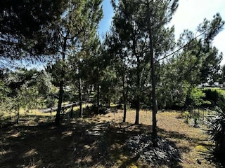 Apartment Le Verdon-sur-Mer  6