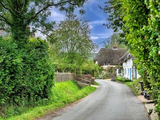 Vakantiehuisje Blandford Omgeving 35
