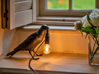 Cottage Blandford  39