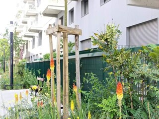 Apartment Bordeaux  29