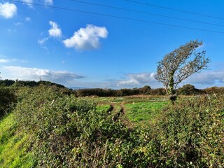 Casa vacanze Godolphin Cross Registrazione all'aperto 6