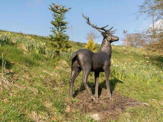 Appartamento Knightsbridge Ambiente 33