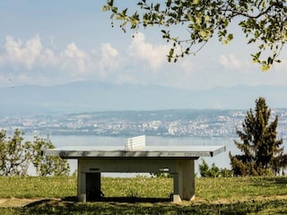 Appartement Saint-Paul-en-Chablais  11