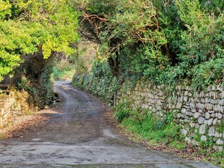 Cottage Godolphin Cross Außenaufnahme 5