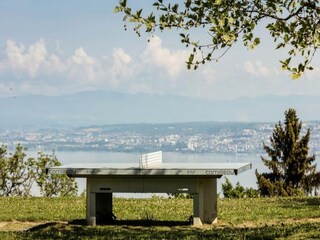 Appartement Saint-Paul-en-Chablais  14