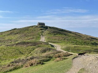 Vakantiehuisje Plymouth Omgeving 18